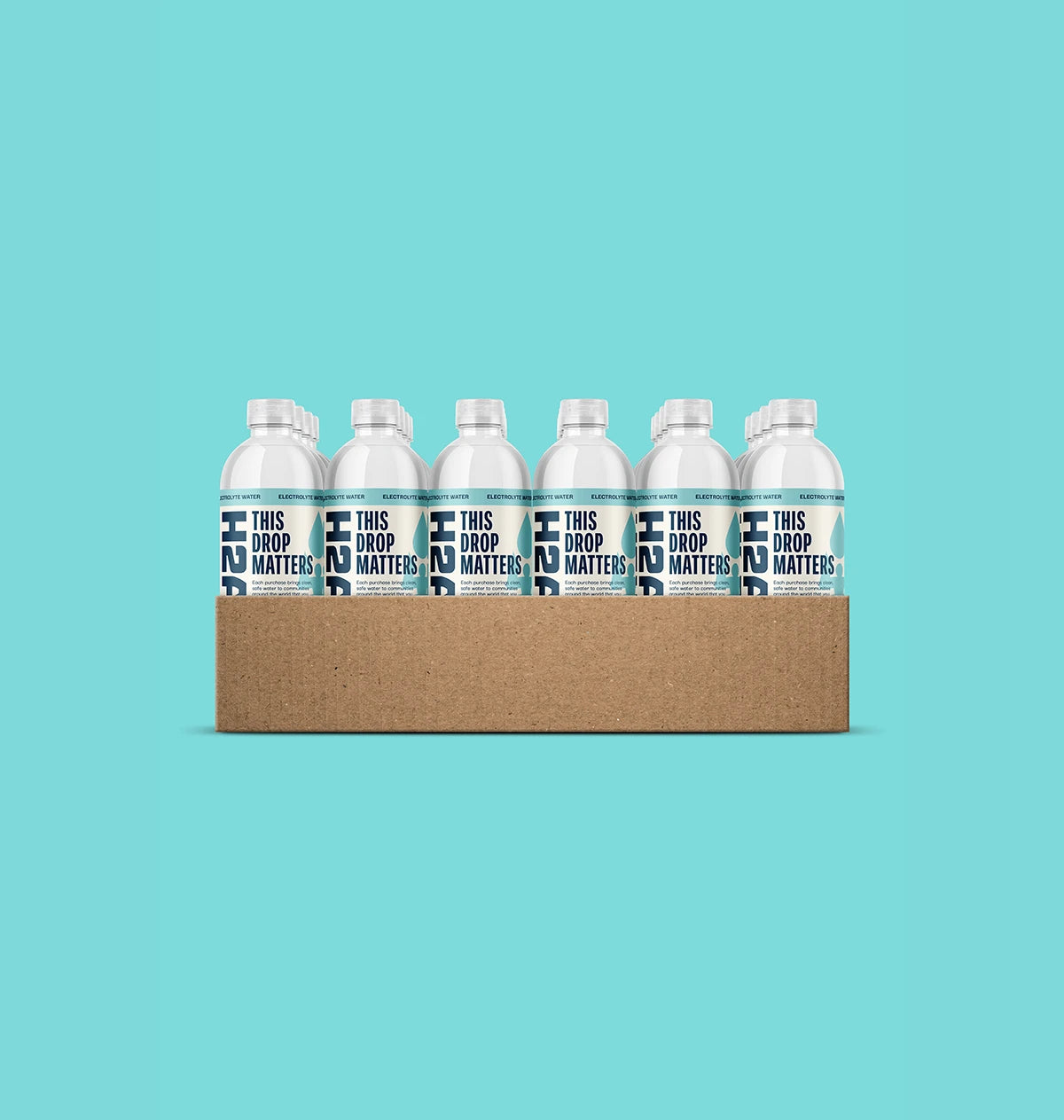 Electrolyte Water - Plastic Bottles